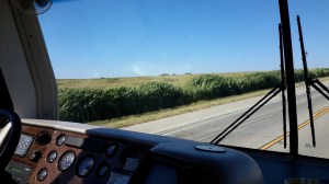 50 miles from nowhere