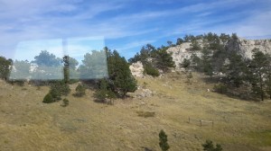 Taken through the RV window