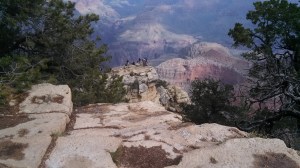 IMG_20151017_115330_840