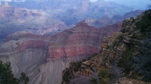 IMG_20151017_121611_084