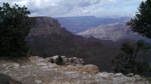 IMG_20151017_123421_954