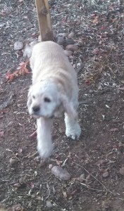 Pattie Rue...this is about as fast as she goes