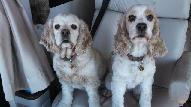 IMG_20150929_131533_110