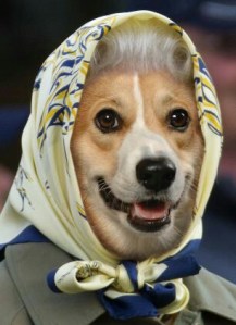 0712efad244bd624ea7ced5b6b409696