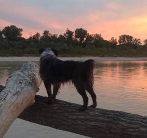 1-18492206_1779294802384462_553087615_n