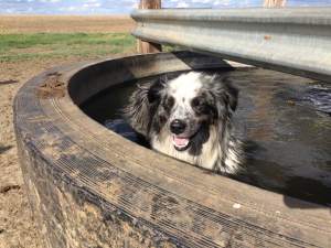 1-18838947_1788527454794530_6247975894709330374_n