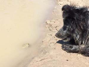 1-21462880_1838397163140892_2751901082793803769_n