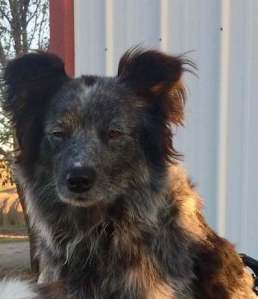 1-22365517_1851449738502301_51789887468464772_n