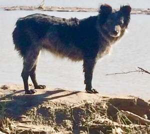 1-22365645_1851449725168969_3260055334775105299_n