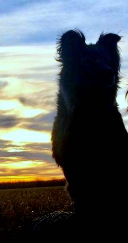 1-22788986_1856833297963945_6641365479905495420_n