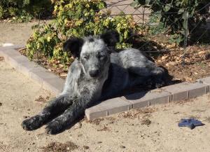 27745050_1906817029632238_631844314_o