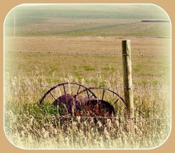 1-38916145_2048782102102396_8982354221848330240_n