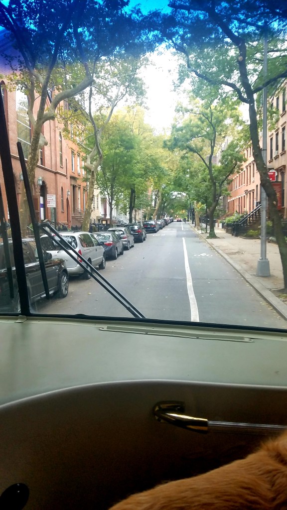 This image has an empty alt attribute; its file name is wp-image-6399990590968886584jpg.jpg